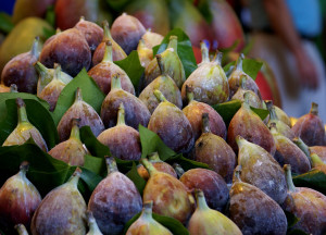 Pile of arranged figs among fig leaves