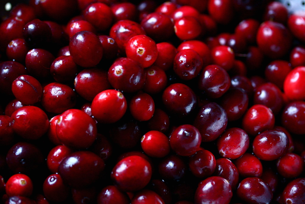 Close up photo of shiny, red Cranberries