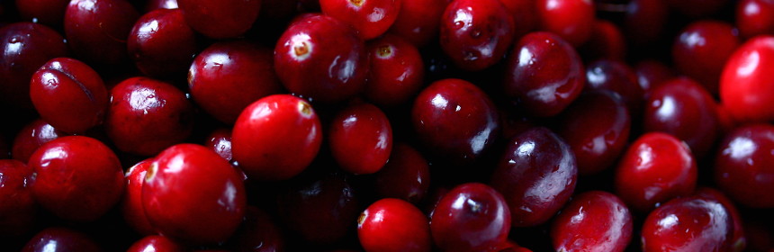 Close up photo of shiny, red Cranberries